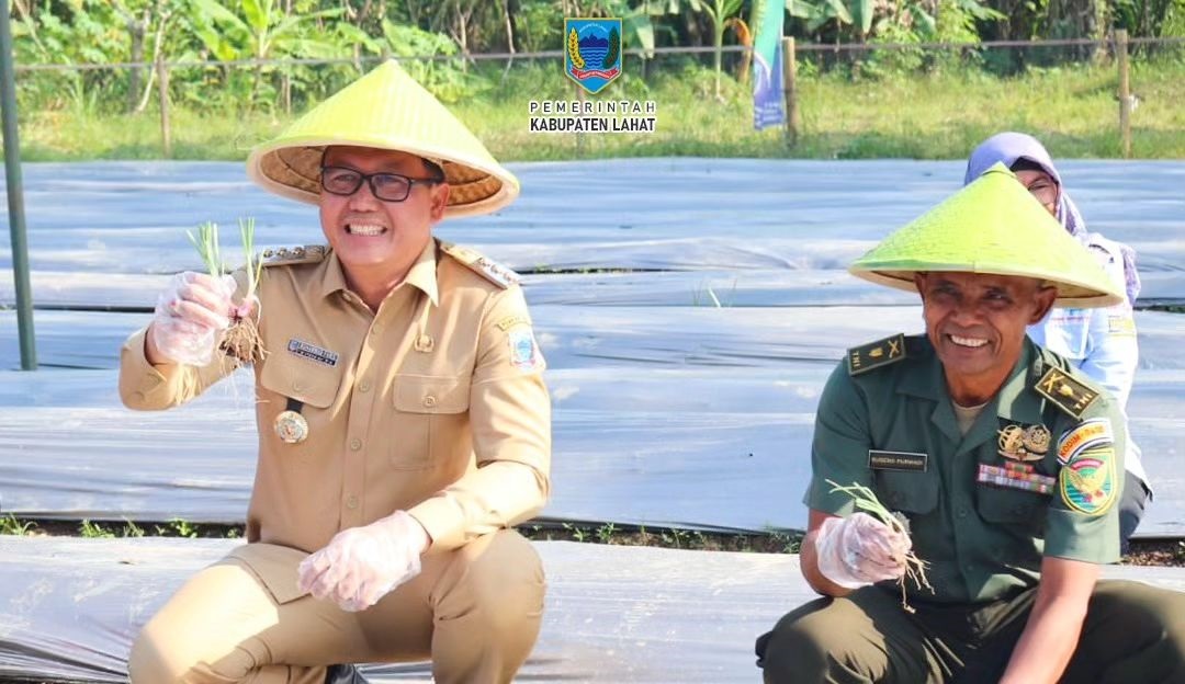 Gerakan Tanam Serentak Cabai Dan Bawang Merah Se Sumatera Selatan 